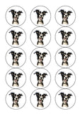 Border Collie 01 Edible Icing Cake Topper or Ribbon