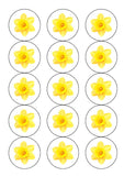 Daffodil Flower Edible Icing Cake Topper or Ribbon