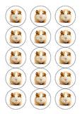 Guinea Pig 01 Edible Icing Cake Topper