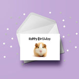 Guinea Pig 01 Edible Icing Cake Topper