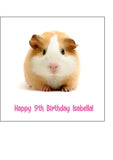 Guinea Pig 01 Edible Icing Cake Topper