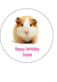 Guinea Pig 01 Edible Icing Cake Topper