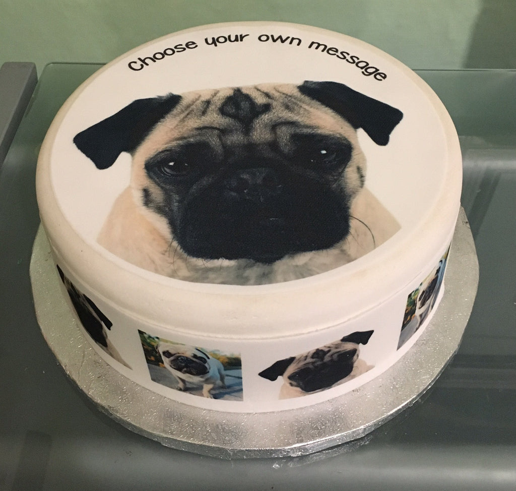 How cute is this cake? The pug loving 8yr old drew the picture that I copy  and cut out on fondant for him. He's eating his own… | Instagram